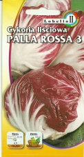Cykoria PALLA ROSSA3